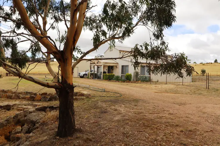 Fourth view of Homely rural property listing, 575 Hardings Lane, Tooborac VIC 3522