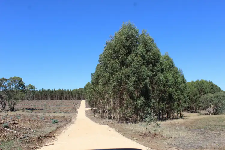 Second view of Homely rural property listing, 44A Gray Street, Hamilton VIC 3300