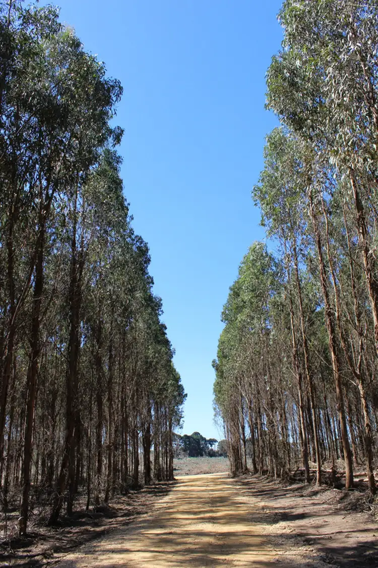 Sixth view of Homely rural property listing, 44A Gray Street, Hamilton VIC 3300