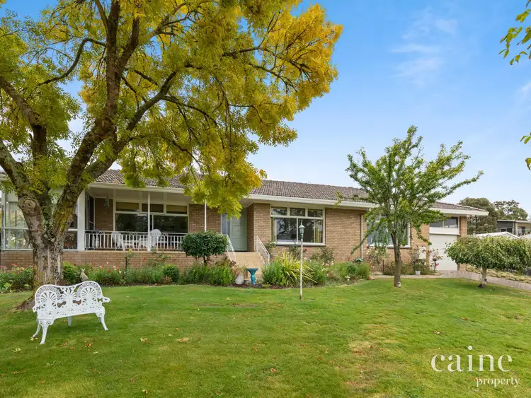 Main view of Homely house listing, 134 Finlay Street, Brown Hill VIC 3350