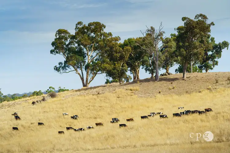 Second view of Homely land listing, 100 Jones and Reeces Road, Clydesdale VIC 3461