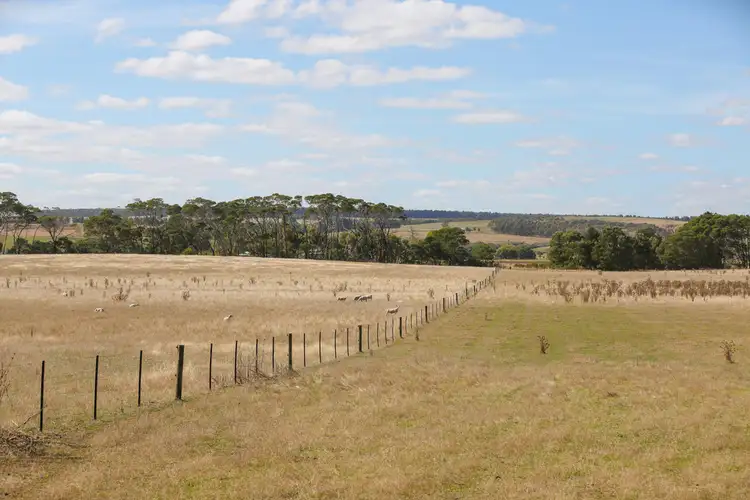Fifth view of Homely rural property listing, Cnr Hamilton - Port Fairy Road & Donovans Lane, Macarthur VIC 3286