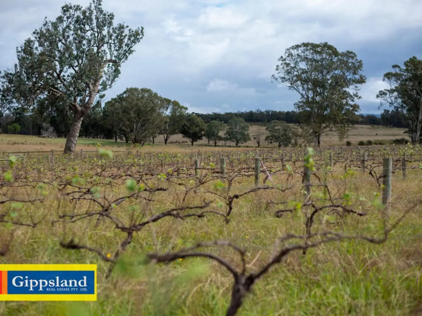Main view of Homely rural property listing, 531 Valencia Creek-Briagolong Road, Briagolong VIC 3860