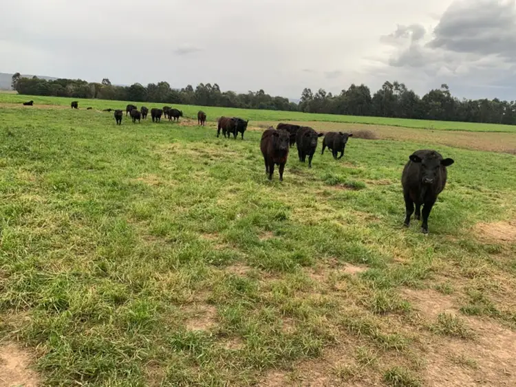 Third view of Homely rural property listing, Cnr & S Cowwarr - Heyfield Road, Cowwarr VIC 3857