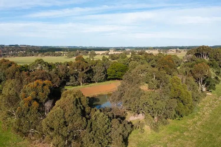 Seventh view of Homely rural property listing, Bend Road, Terang VIC 3264
