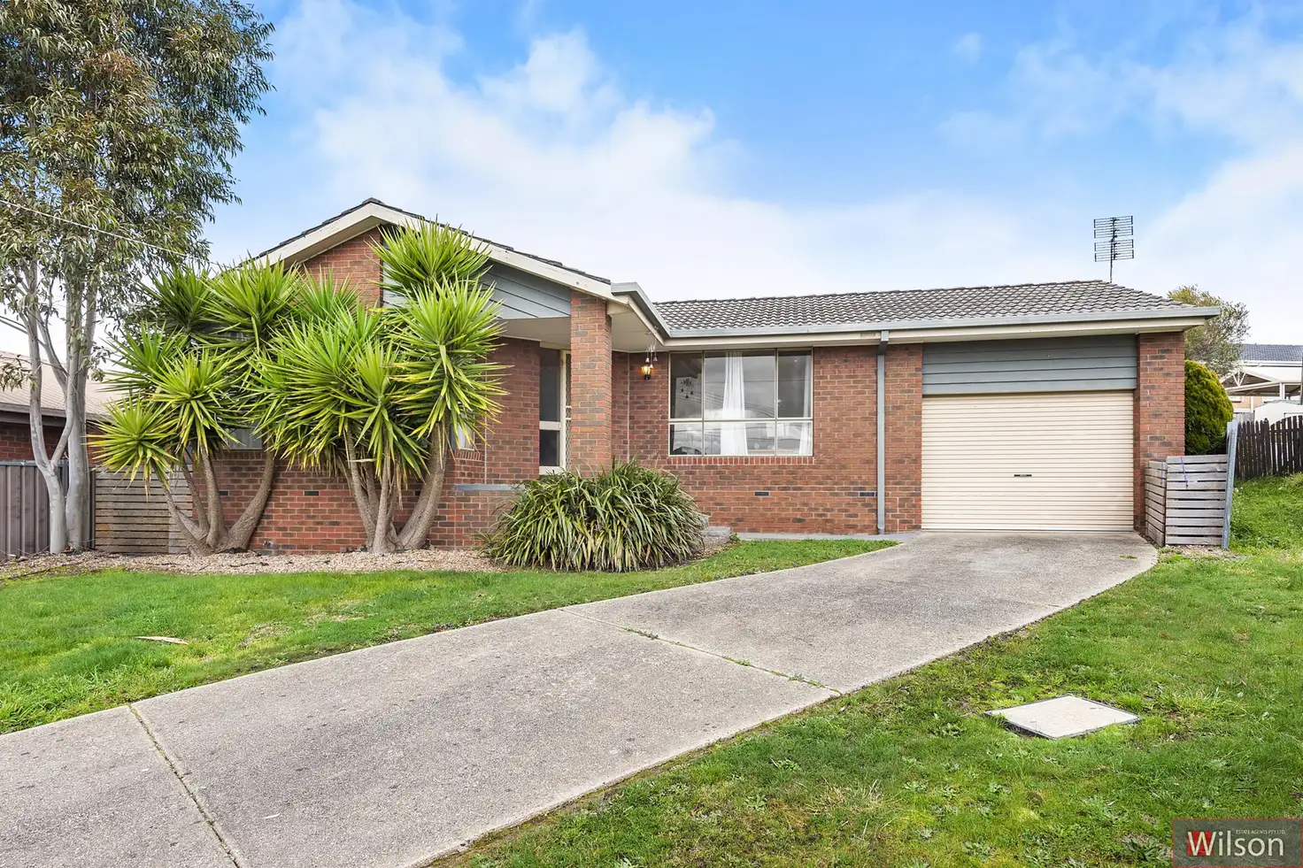 Main view of Homely house listing, 24 Melvyn Crescent, Mount Clear VIC 3350