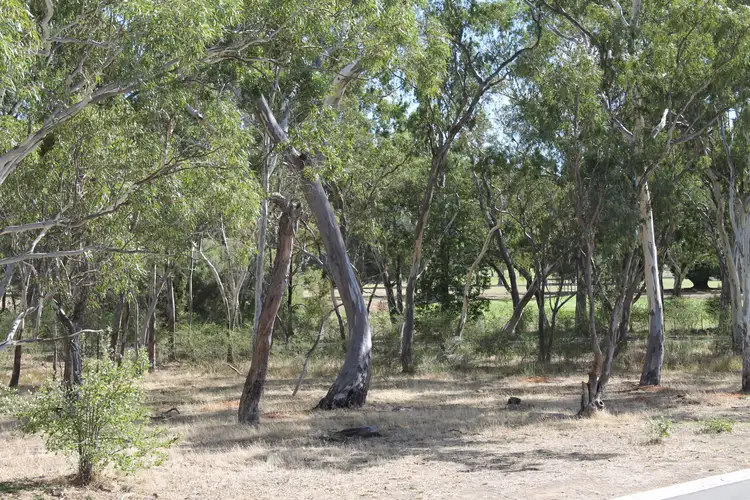Fourth view of Homely house listing, 4 Redgum Court, Heathcote VIC 3523