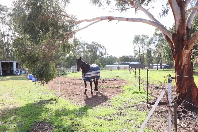 Third view of Homely house listing, 381 Warrowitue-Forest Road, Heathcote VIC 3523