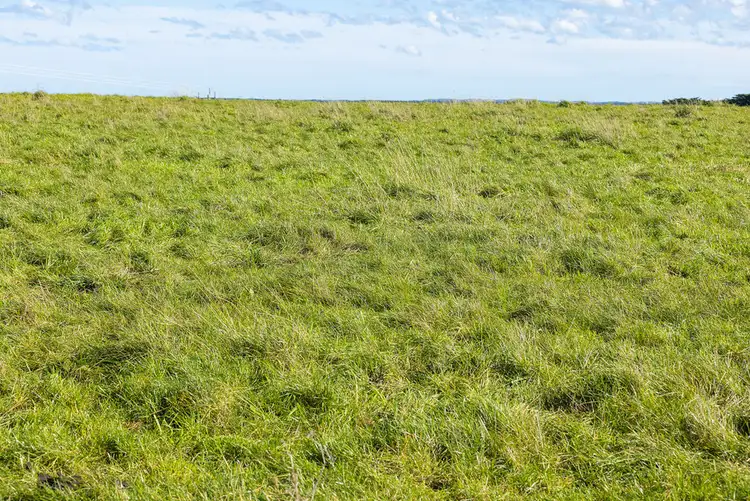 Sixth view of Homely rural property listing, Penshurst - Port Fairy Road, Crossley VIC 3283