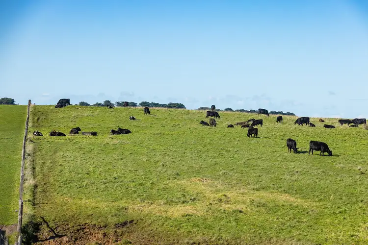 Seventh view of Homely rural property listing, Penshurst - Port Fairy Road, Crossley VIC 3283