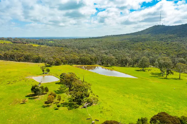 Fifth view of Homely rural property listing, 267 Dundas Gap Road, Cavendish VIC 3314