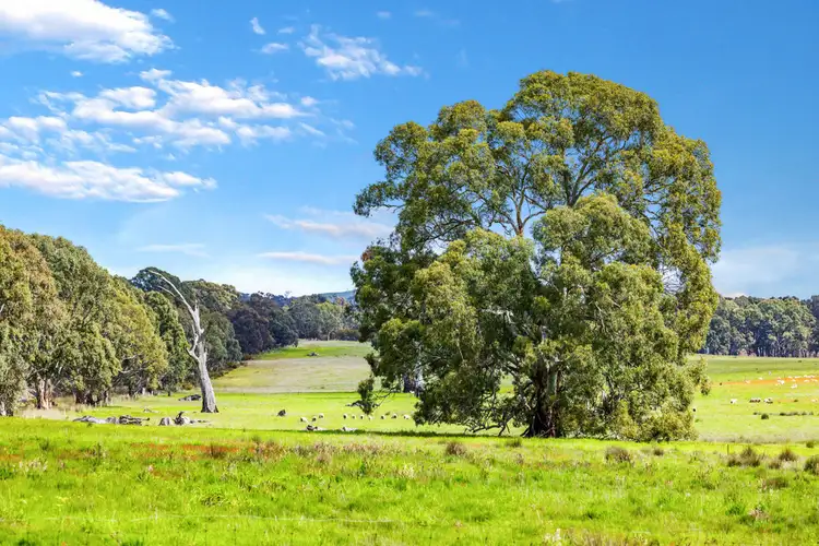 Fifth view of Homely rural property listing, Coach Road, Buangor VIC 3375