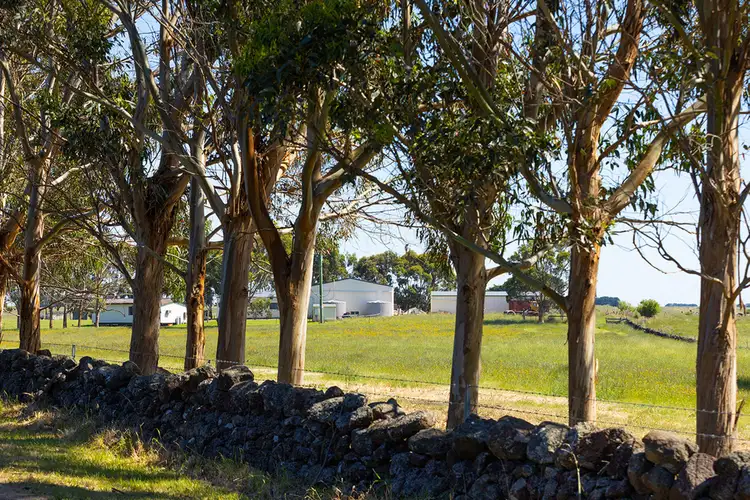Second view of Homely rural property listing, 14 Flagstaff Road, Port Fairy VIC 3284