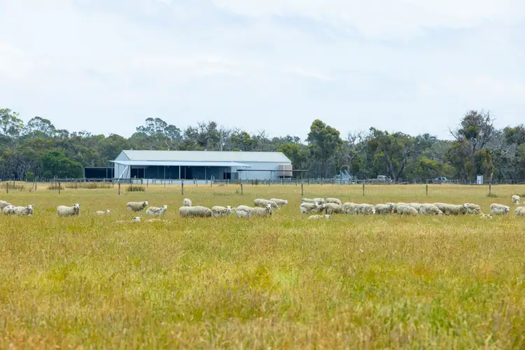 Main view of Homely rural property listing, Hinkleys Powers Creek-Edenhope Road, Powers Creek VIC 3312