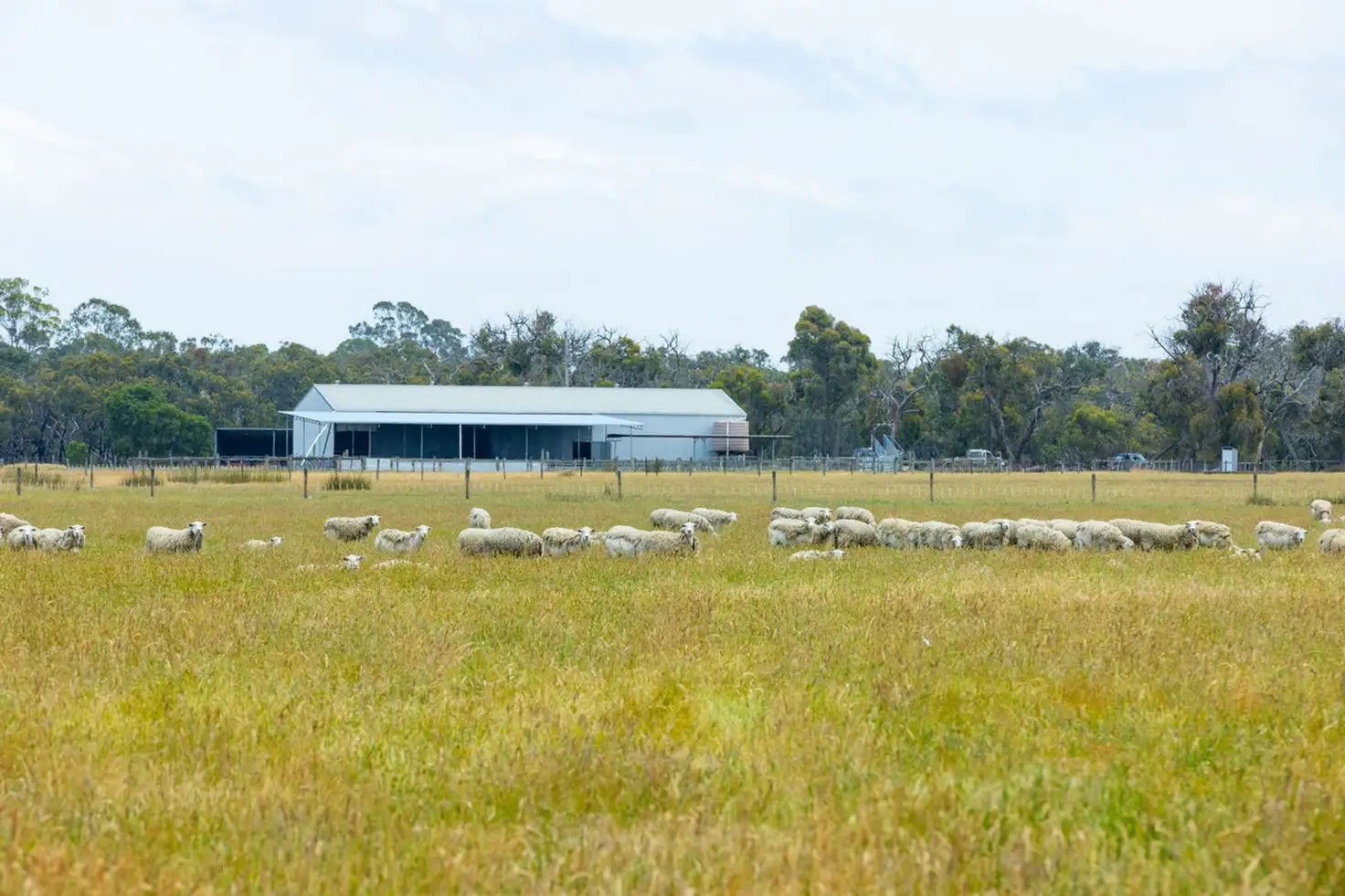 Main view of Homely rural property listing, Hinkleys Powers Creek-Edenhope Road, Powers Creek VIC 3312