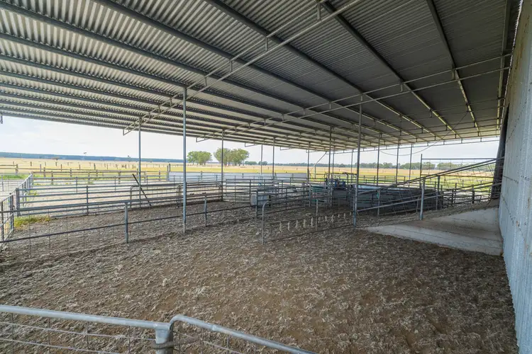 Sixth view of Homely rural property listing, Hinkleys Powers Creek-Edenhope Road, Powers Creek VIC 3312