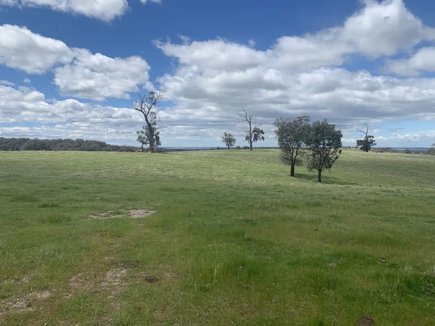 Main view of Homely rural property listing, 3 Weirs Road, Newry VIC 3859