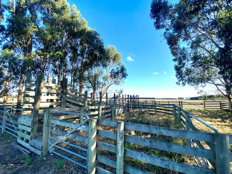 Third view of Homely rural property listing, 2 Bend Road, Terang VIC 3264