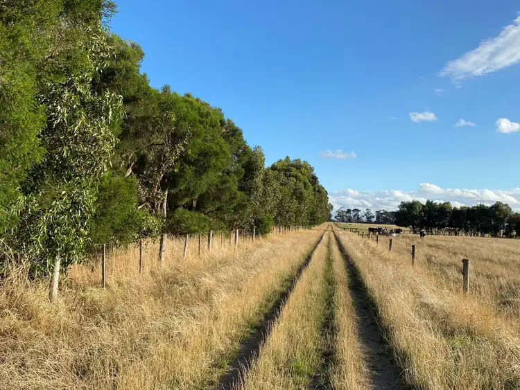 Fourth view of Homely rural property listing, 2 Bend Road, Terang VIC 3264
