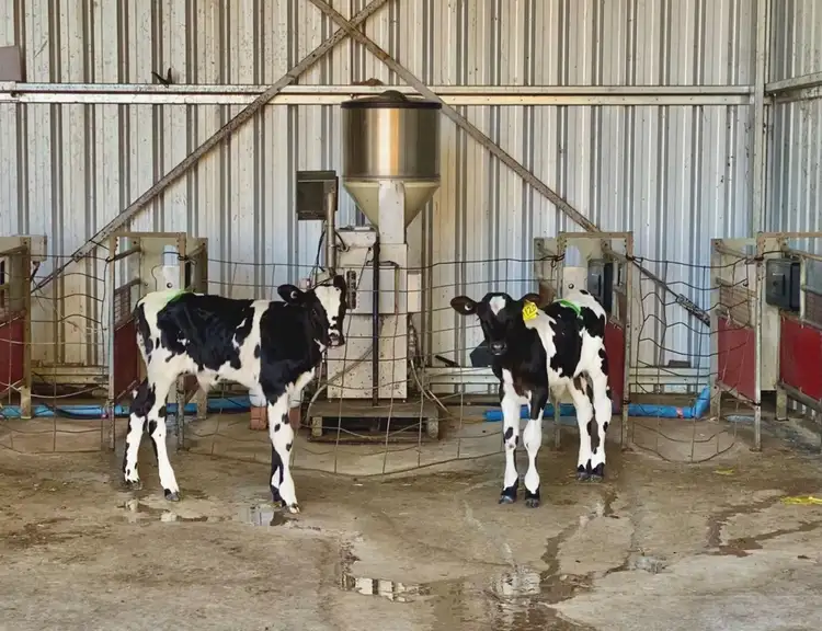 Sixth view of Homely rural property listing, 2 Bend Road, Terang VIC 3264