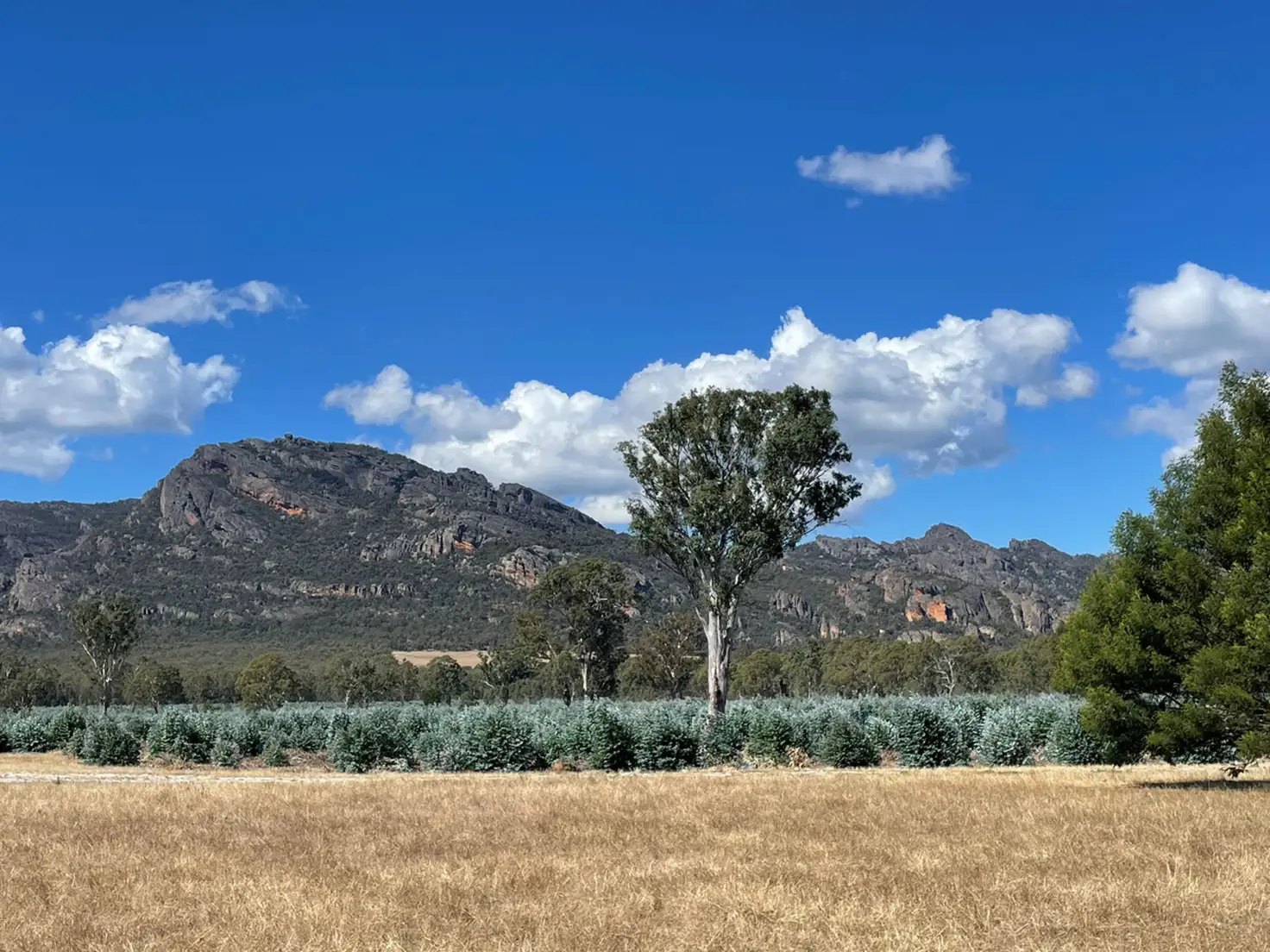 Main view of Homely rural property listing, 44 Gray Street, Hamilton VIC 3300