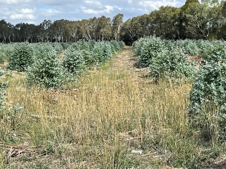 Second view of Homely rural property listing, 44 Gray Street, Hamilton VIC 3300