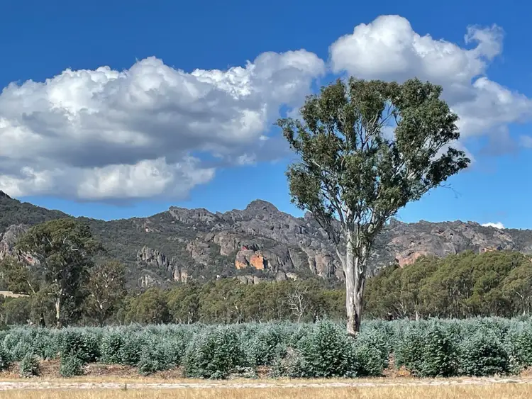 Fourth view of Homely rural property listing, 44 Gray Street, Hamilton VIC 3300