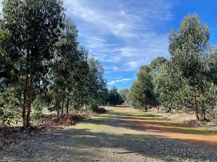 Third view of Homely rural property listing, 260 Bells Lane, Vasey VIC 3407