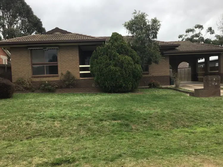 Second view of Homely house listing, 11 Richards, Castlemaine VIC 3450