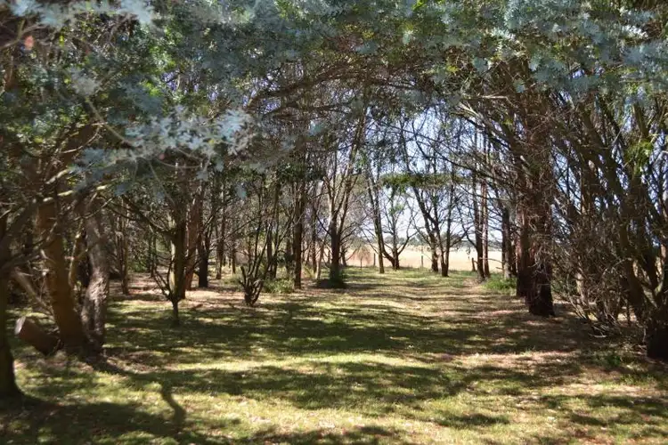 Seventh view of Homely house listing, 75 Hickeys Road, Kirkstall VIC 3283