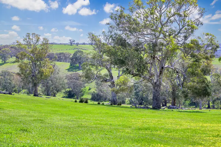 4970 Coleraine Edenhope Road