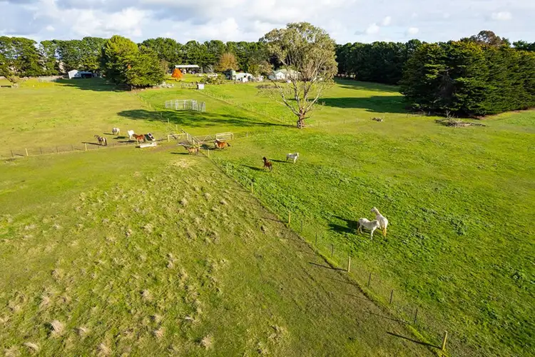 Fifth view of Homely rural property listing, 256 Mustons Lane, Caramut VIC 3274