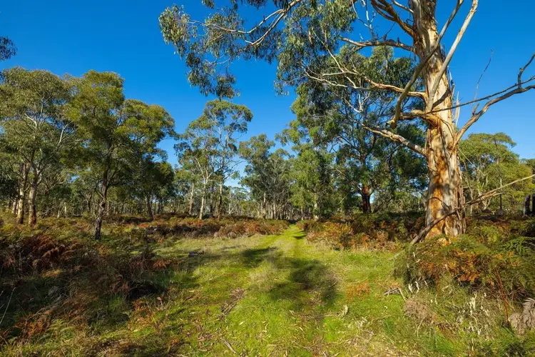 Main view of Homely rural property listing, Lake Gorrie Road, Macarthur VIC 3286