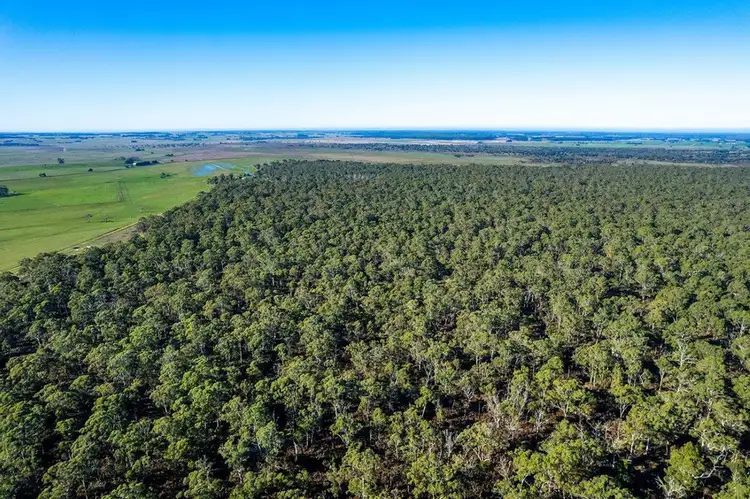 Third view of Homely rural property listing, Lake Gorrie Road, Macarthur VIC 3286