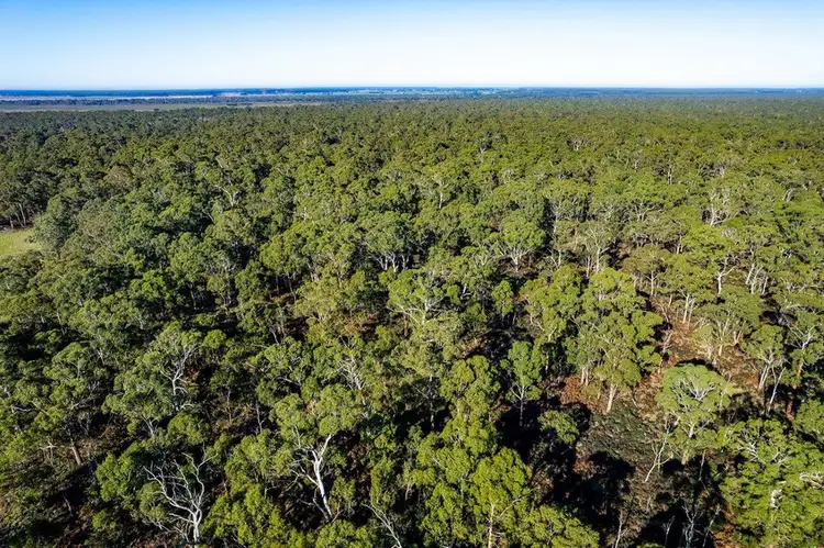 Fourth view of Homely rural property listing, Lake Gorrie Road, Macarthur VIC 3286