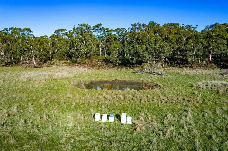 Seventh view of Homely rural property listing, Lake Gorrie Road, Macarthur VIC 3286