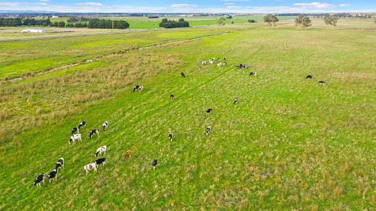 Sixth view of Homely rural property listing, Traralgon-Maffra Road, Tinamba VIC 3859