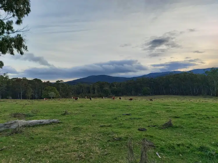 Second view of Homely rural property listing, 395 McKillops Road, Bonang VIC 3888