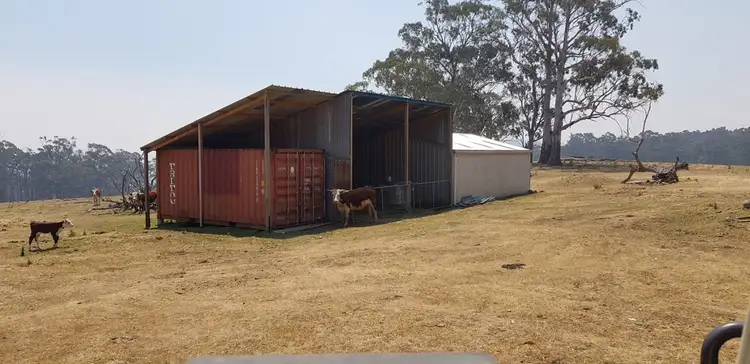 Fourth view of Homely rural property listing, 395 McKillops Road, Bonang VIC 3888