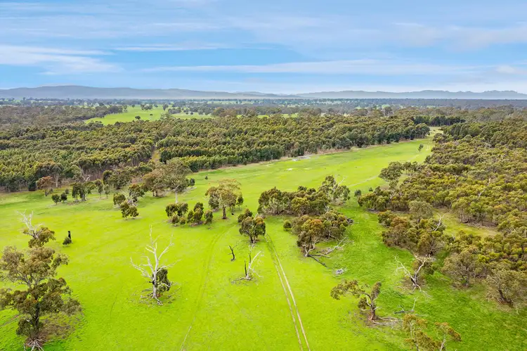 Smiths Road, Telangatuk East VIC 3401