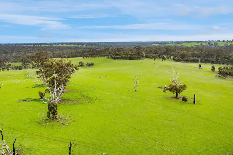 Fifth view of Homely rural property listing, Smiths Road, Telangatuk East VIC 3401