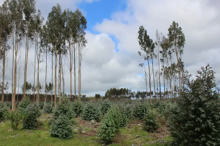 Main view of Homely rural property listing, 44A Gray Street, Hamilton VIC 3300