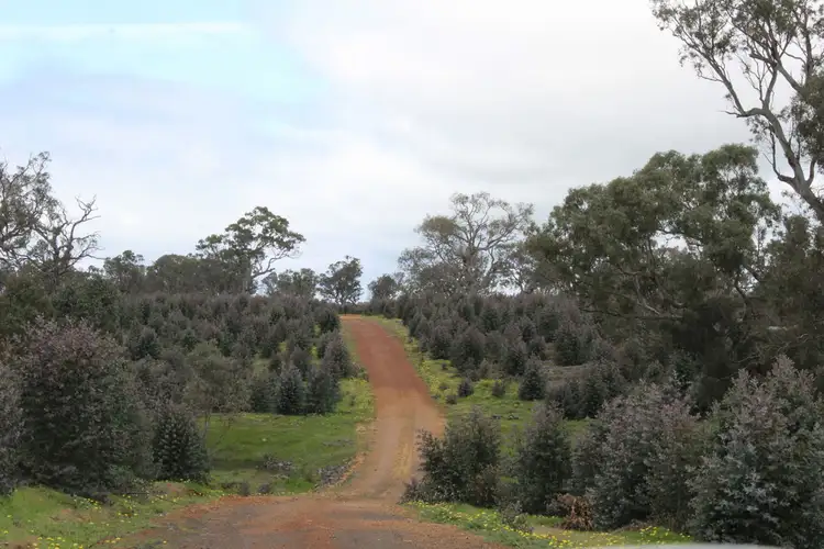 Third view of Homely rural property listing, 44A Gray Street, Hamilton VIC 3300