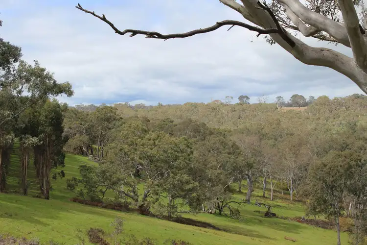 Fourth view of Homely rural property listing, 44A Gray Street, Hamilton VIC 3300