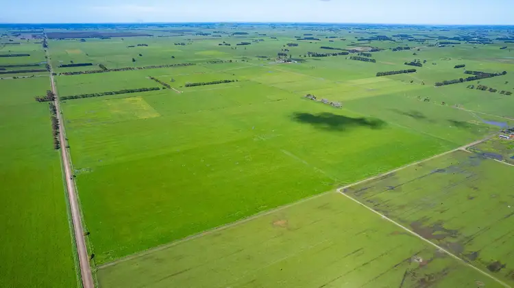 Seventh view of Homely rural property listing, Tapps Lane, The Sisters VIC 3265