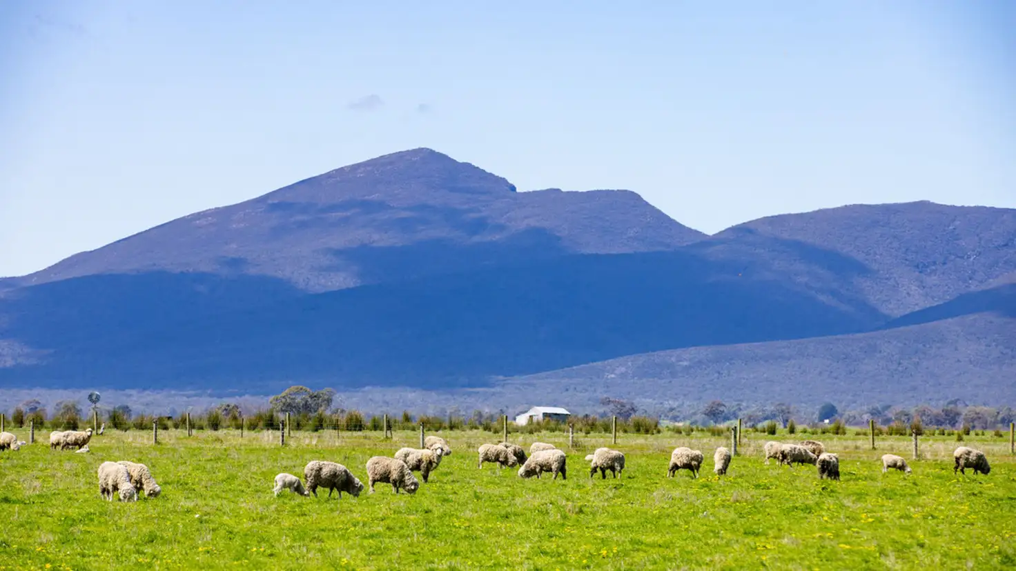 Main view of Homely rural property listing, 53 RW McIntyres Road, Karabeal VIC 3294