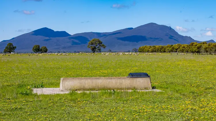 Third view of Homely rural property listing, 53 RW McIntyres Road, Karabeal VIC 3294