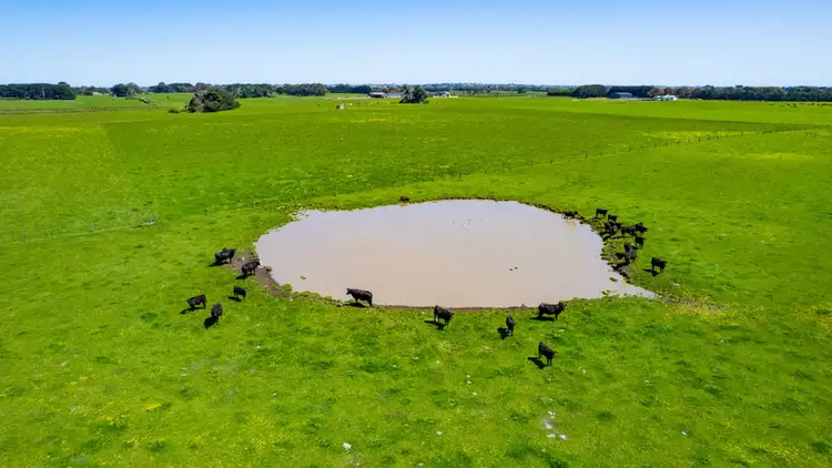 Fifth view of Homely rural property listing, 229 Wangoom Road, Warrnambool VIC 3280