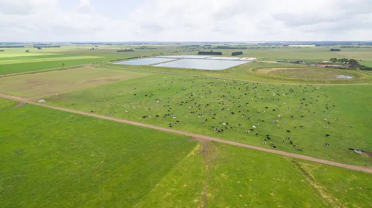 Fifth view of Homely rural property listing, 475 Nine Mile Creek Road, Koroit VIC 3282