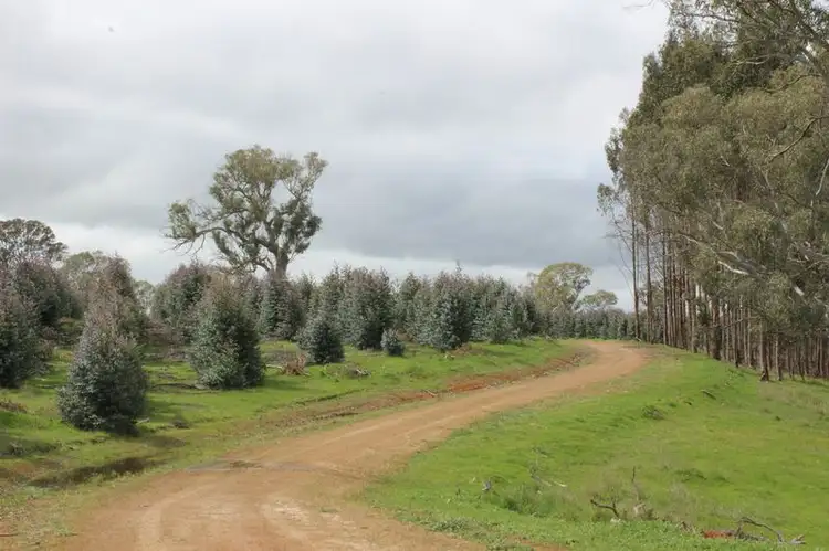 1021 Careys Road, Nareen VIC 3315